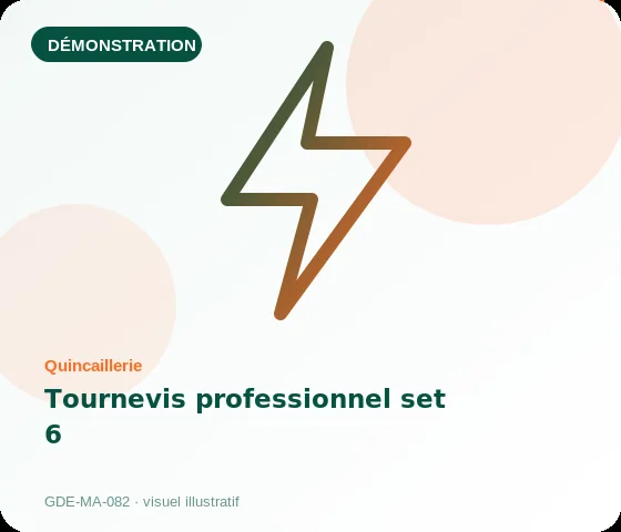 [Démo] Tournevis professionnel set 6